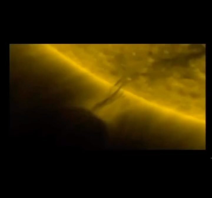 Hungry space animal having a sun snack?